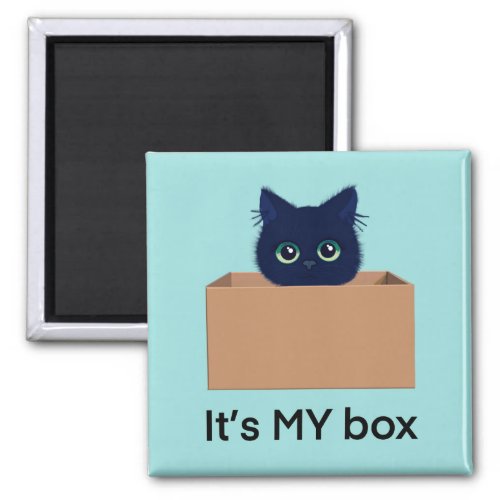 Cute cat in a box on blue_green  magnet