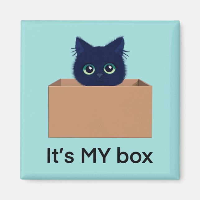 Cute cat in a box on blue-green  magnet (Front)