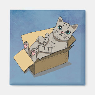 Cute Cat in a Cardboard Box Drawing Magnet