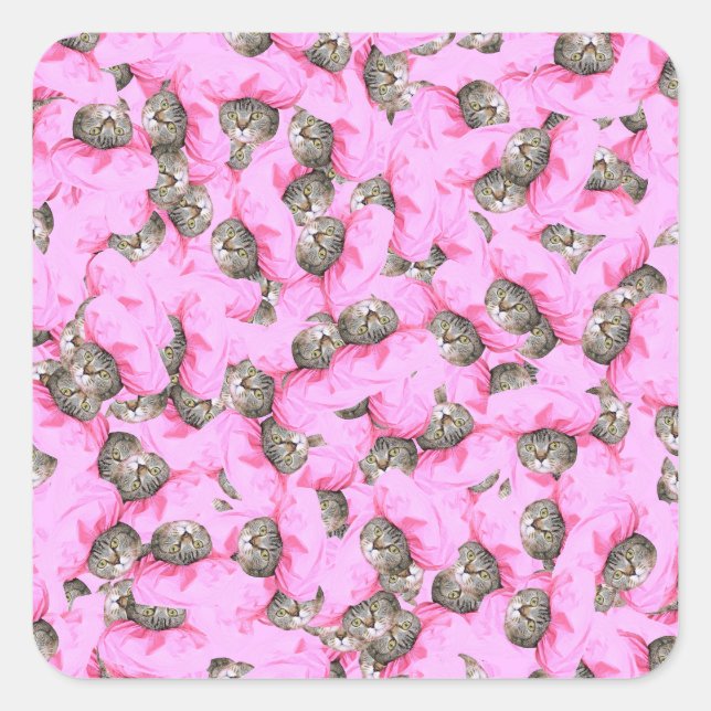 Cute Cat in a Pink Cap Pattern Random Square Sticker (Front)