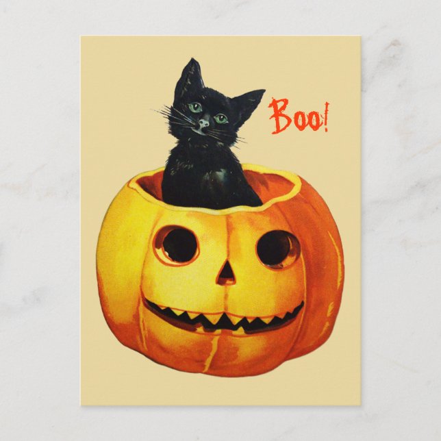 Cute Cat in Pumpkin Vintage Halloween Postcard (Front)