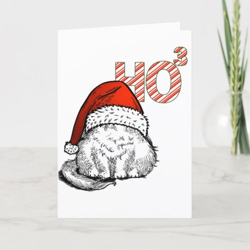 Cute Cat in Santa Hat Ho cubed Ho Ho HoMath Joke Holiday Card