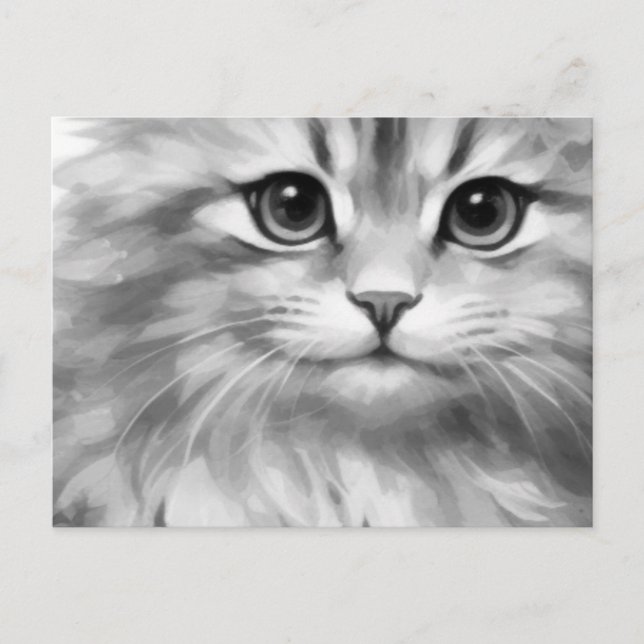 Cute cat in shades of gray postcard (Front)