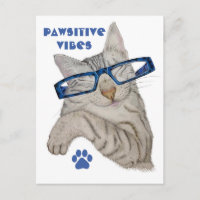 Cute Cat In Specs Pawsitive Vibes Paw Positivity