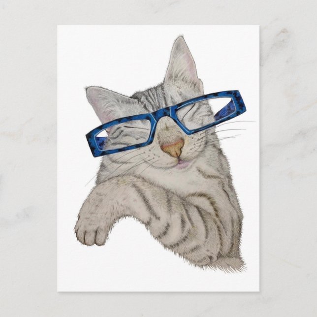 Cute Cat In Spectacles Hand Drawn Postcard (Front)
