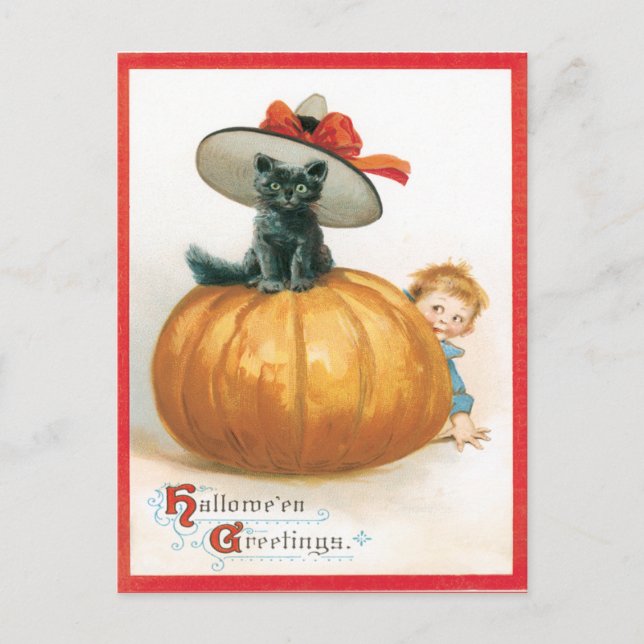 Cute Cat In The Hat Vintage Postcard (Front)