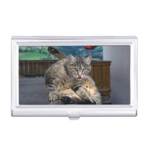 Cute Cat Interrupted While Grooming Business Card Holder