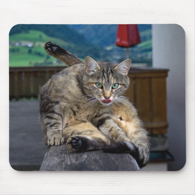 Cute Cat Interrupted While Grooming Mouse Pad (Front)