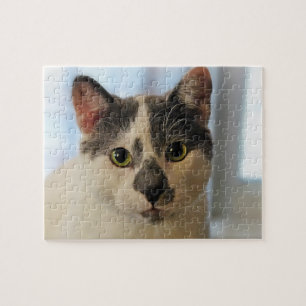 Cute Cat Jigsaw Puzzle