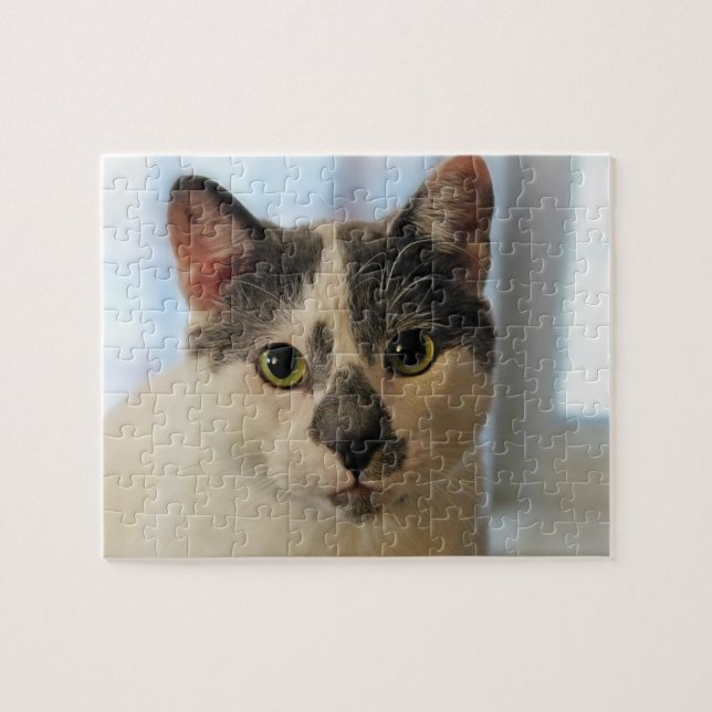 Cute Cat Jigsaw Puzzle (Horizontal)