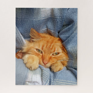 Cute cat jigsaw puzzle