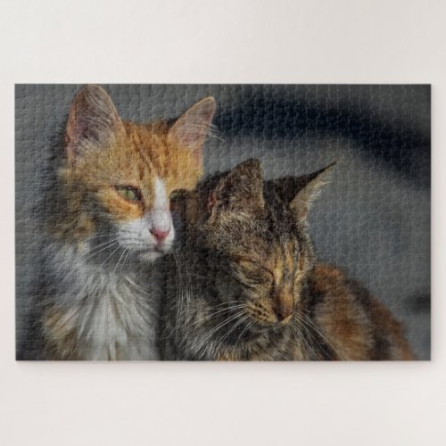 Cute Cat Jigsaw Puzzle