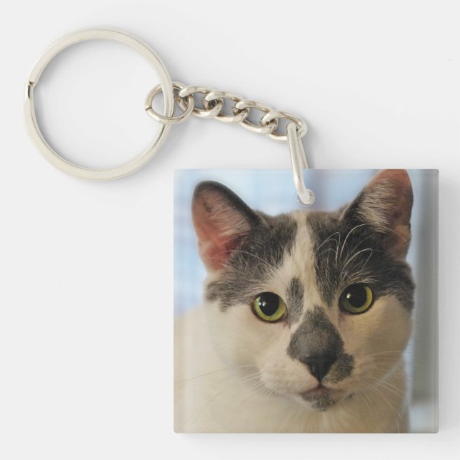 Cute Cat Keychain (Front)