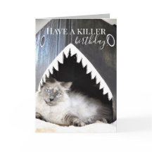 Cute Cat Killer Shark Birthday Greeting Card
