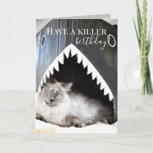 Cute Cat Killer Shark Birthday Greeting Card