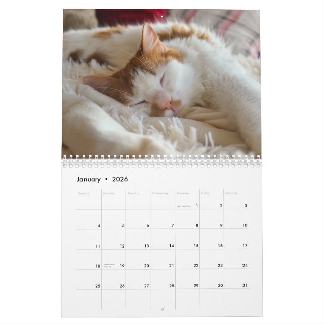 Cute Cat & Kitten 2023 Calendar (Jan 2026)