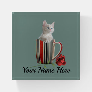 Cute Cat Kitten Pet Lovers Gift Paperweight