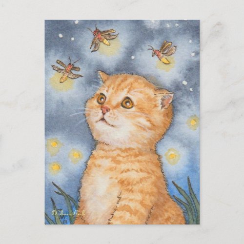 Cute Cat Kitten with Firefly Fireworks Postcard