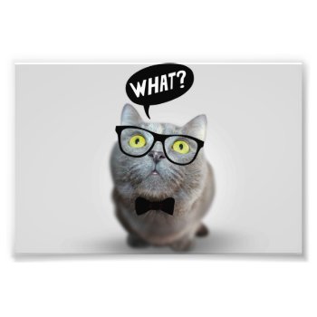 Cute Cat Kitten With Glasses What Quote Funny Photo Print by TiagoMiguel at Zazzle