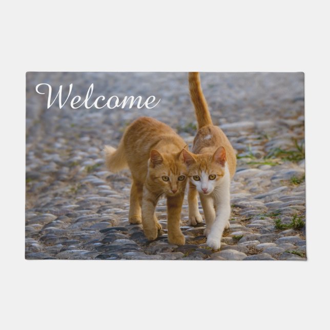 Cute Cat Kittens Friends Stony Path Photo Welcome Doormat (Front)
