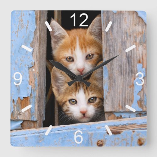 Cute Cat Kittens in Blue Vintage Window dial_plate Square Wall Clock