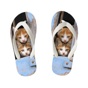 Cute Cat Kittens in Blue Vintage Window Photo Kids Kid's Flip Flops