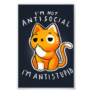 Cute Cat Kitty Gift| Cat For Birthday Photo Print