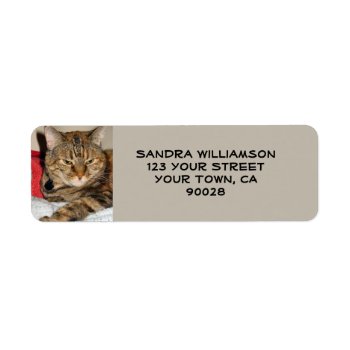 Cute Cat Label by DonnaGrayson_Photos at Zazzle