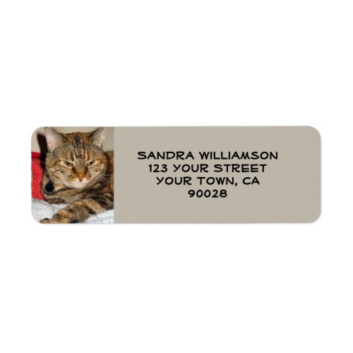 Cute cat label