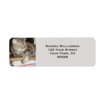Cute Cat Label by DonnaGrayson_Photos at Zazzle