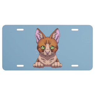Cute Cat License Plate
