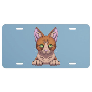 Cute Cat License Plate
