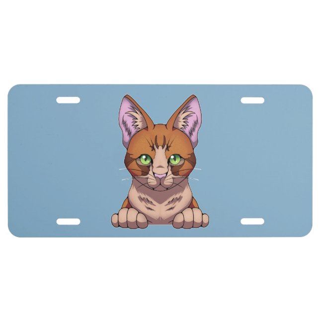 Cute Cat License Plate (Front)