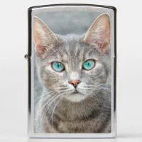 cute cat looking me zippo lighter