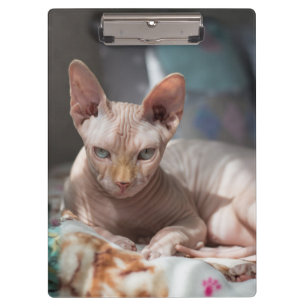 Cute Cat Lounging with no Fur Clipboard