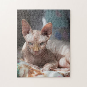 Cute Cat Lounging with No Fur Jigsaw Puzzle