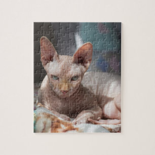 Cute Cat Lounging with no Fur Jigsaw Puzzle