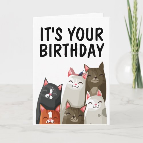 CUTE CAT LOVER BIRTHDAY CARD PURRFECT