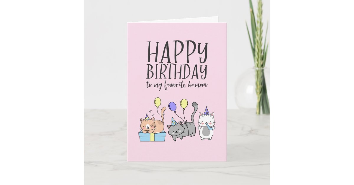 Cute Cat Lover Kittens Party Hat Funny Birthday Card | Zazzle