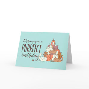Cute Cat Lover Purrfect Birthday Funny Birthday Card