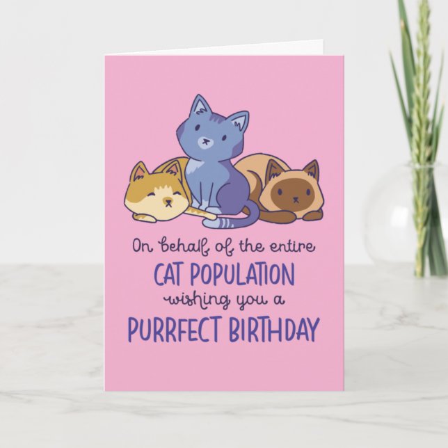 Cute Cat Lover Purrfect Birthday Funny Card (Front)