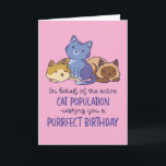 Cute Cat Lover Purrfect Birthday Funny Card<br><div class="desc">On behalf of the entire cat population,  wishing you a purrfect birthday. Funny,  humorous and sometimes sarcastic birthday cards for your family and friends. Get this fun card for your special someone. Visit our store for more cool birthday cards.</div>