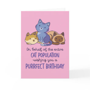 Cute Cat Lover Purrfect Birthday Funny Card