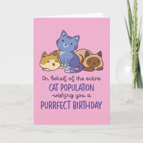 Cute Cat Lover Purrfect Birthday Funny Card
