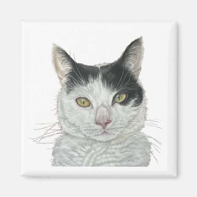 Cute cat magnet (Front)
