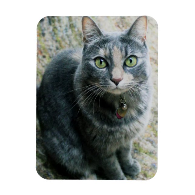 Cute Cat  Magnet (Vertical)