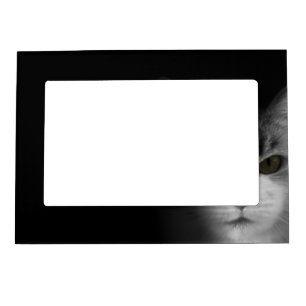 Cute Cat Magnetic Photo Frame