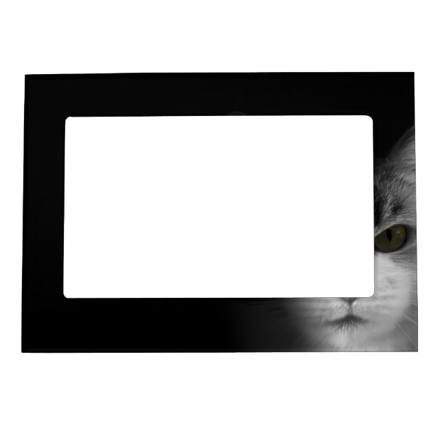 Cute Cat Magnetic Photo Frame (Front)