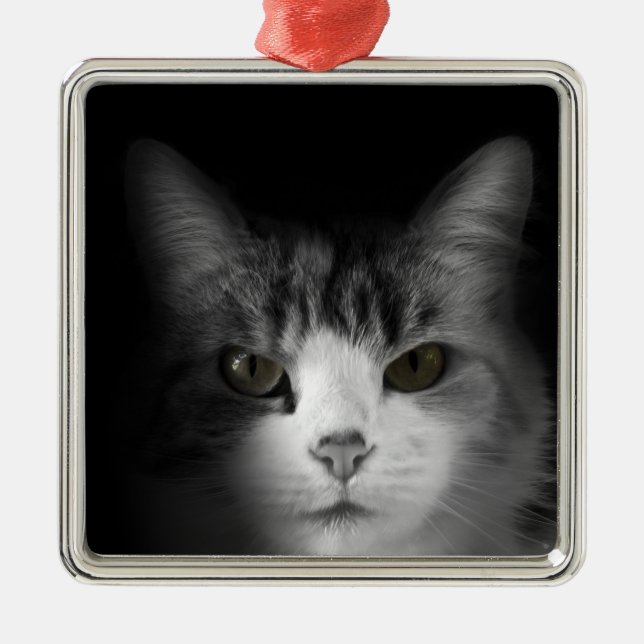 Cute Cat Metal Ornament (Front)