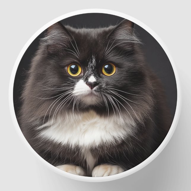 Cute cat  mini candle favors (Front)